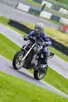 CB500 Group Green Bikes